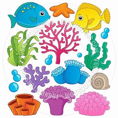 Coral Reef Cartoon Clip Sea Under