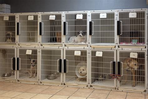 Preventive care for your pet is essential in assuring a healthy, active life for your pet. Pet Care Veterinary clinic