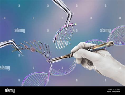 Genetic Engineering Conceptual Illustration Stock Photo Alamy