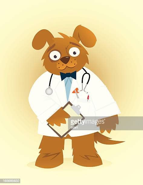 Dog Doctor Vector Photos And Premium High Res Pictures Getty Images