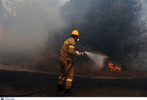 Σύμφωνα με την πρώτη εικόνα που έχει η πυροσβεστική, η φωτιά είναι μεγάλη και καίει δασική έκταση. Φωτιά σε Κερατέα και Ανάβυσσο - Ποιοι δρόμοι είναι κλειστοί