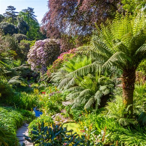Trebah Garden - The Great Gardens of Cornwall