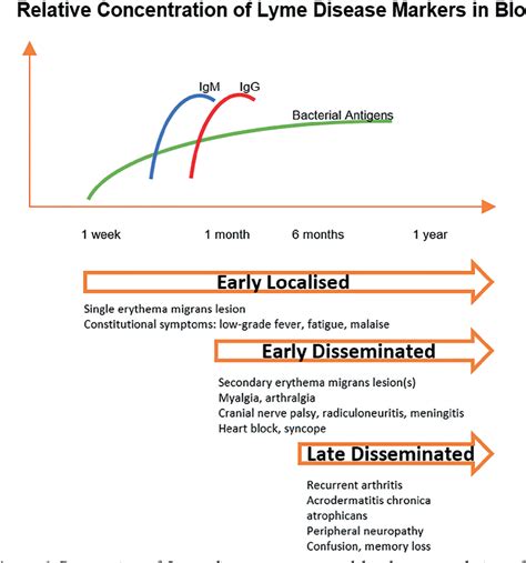 Figure 2 From Recent Strategies For The Diagnosis Of Early Lyme Disease