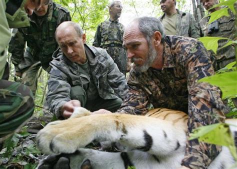 Vladimir Putins Tiger Kuzya Is Lost In China