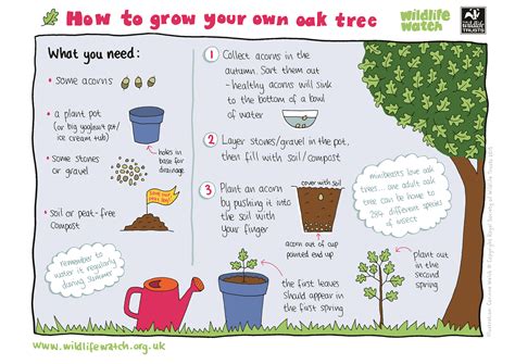 Wildlife Watch - Activity Sheets