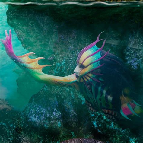 Equatorial guinea is primarily a christian nation with some 93% of its residents belonging to the christian faith. Pin en Water day at Egbf 2020