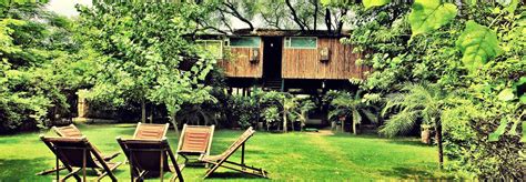 While a stay at the sanctuary that is the tree house resort itself rejuvenates your body, and mind; Tree House Resort, Jaipur | Things to do in Rajasthan
