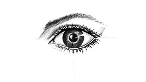 Ojos Para Dibujar Curso De Dibujo Anatomia Como Dibujar El Ojo Paso A