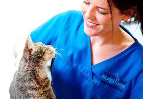 The cat care clinic latest news health technology and treatments. Pin on Animal Love and Care
