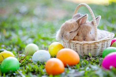 Easter Celebrations And Crafts To Enjoy During Unusual Times
