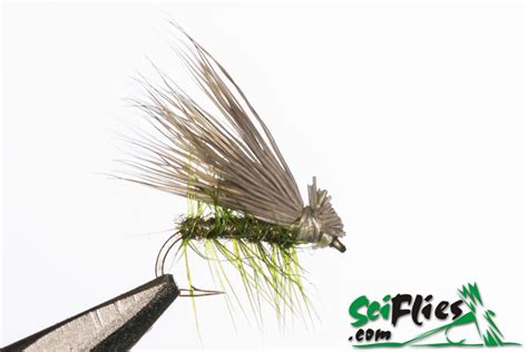 Sage sense rods have a fantastic action and are built with generation 5 graphite like the sonic and maverick models existing in the sage line up. Elk Hair Caddis - Olive | ScientificFly