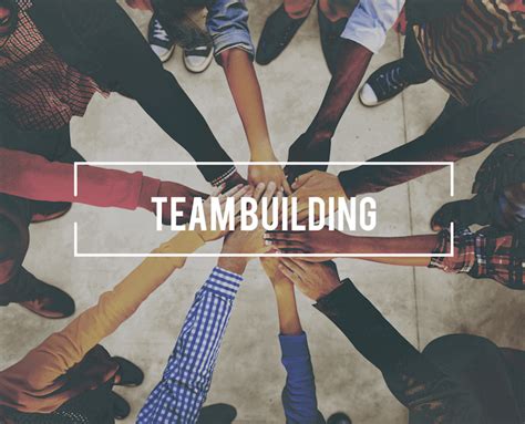 4 Cool Team Building Ideas For Australian Companies Bizcatalyst 360°