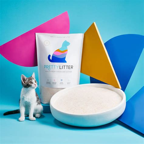 Prettylitter Cat Litter 2023 Review Is It A Good Value Pet Keen