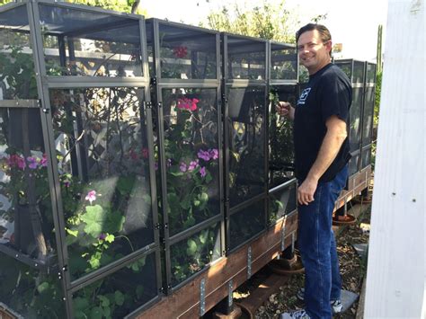 Tropical reptiles can live in either mesh screened cages (i.e. Ep 16: Outdoor Chameleon Keeping - Chameleon Breeder Podcast