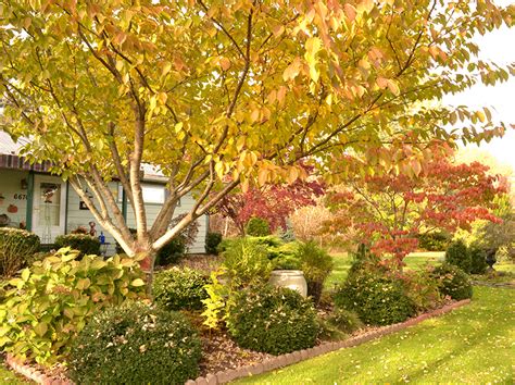 Want A Great Autumn Garden In Wny Get Inspiration Here Buffalo