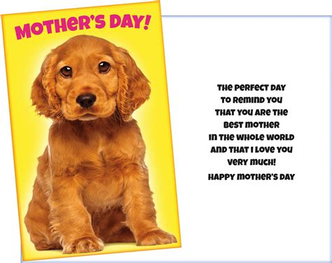 33981 Six Mothers Day General Greeting Cards With Six Envelopes 210