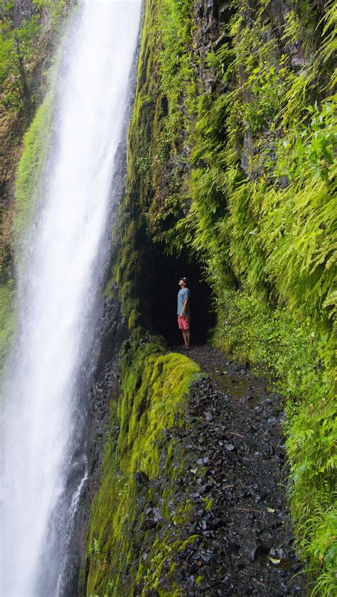 10 Amazing Waterfall Hikes In Oregon Oregon Travel Oregon Road Trip Places To Travel