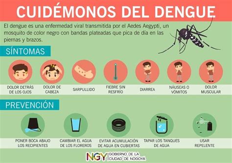 La PrevenciÓn Es La Mejor Forma De Combatir Al Dengue Municipio De Nogoyá