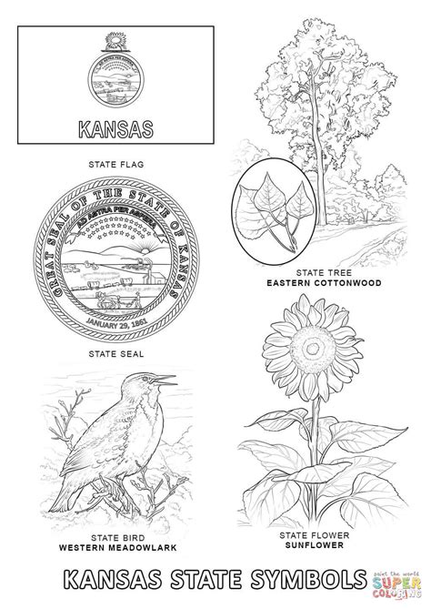 Kansas State Symbols Coloring Page Free Printable Coloring Page