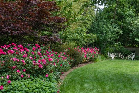 The Key To Creating A Layered Landscape For Your Property Shorb