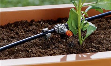 Blumenkastenbewässerung