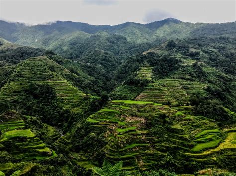 The Cheapest And Easiest Way To See Philippines Ifugao Rice Terraces Land Of Size