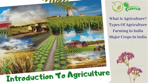 Introduction To Agriculture Types Of Agriculture Types Of