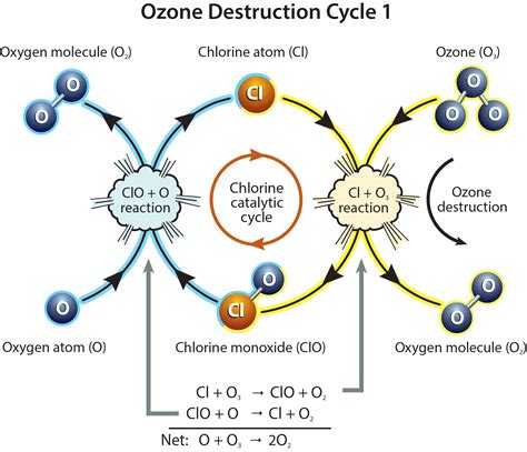 Scientific Assessment Of Ozone Depletion Twenty Questions And