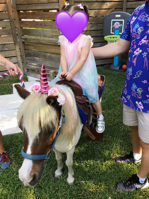 Birthday party petting zoo for 1 hour $350. Hire Fannie's Farm Friends Mobile Petting Zoo - Petting ...