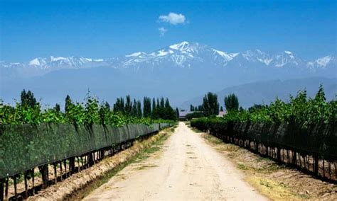 Argentinas Mendoza Wine Route Top 10 Guide Argentina Holidays The