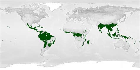 Rainforest Sample Location Map