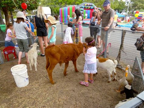 A unique interactive experience with animals starts from here! Petting Zoo