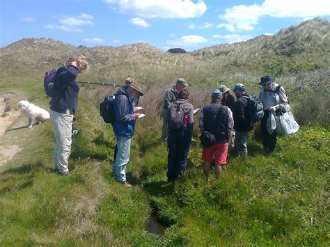 Guided Wildlife Walk Studland Purbeck Dynamic Dunescapes