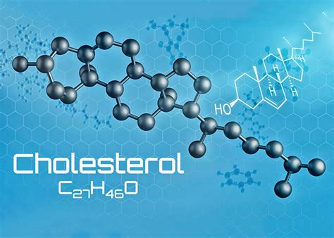 Cholesterol Myth Heres The Truth Zenith Labs