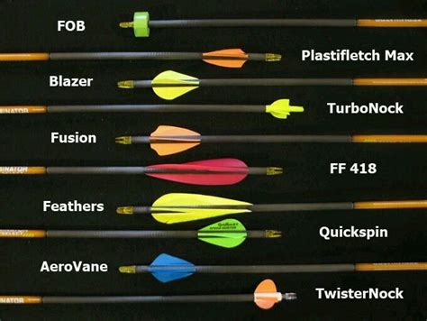 Ditterent Types Of Archery Arrows Archery Arrows Archery Bows Archery