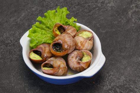 French Cuisine Escargot With Sauce Stock Photo Image Of French