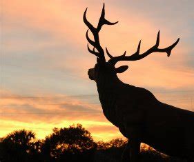 The elks national foundation, established in 1928, helps. Elks.org :: Lodge #1830 Home