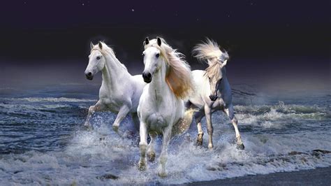 Running Horses Wallpaper Wallpapersafari