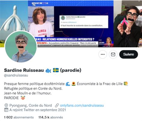 Sardine Ruisseau Un Compte Parodique Sandrine Rousseau Dénonce Du Cyber Harcèlement