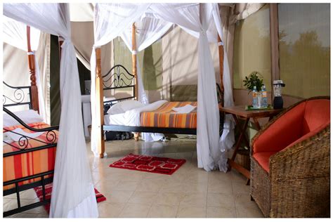 Elangata olerai luxury camp safari/tentalow maasai mara. Kenya