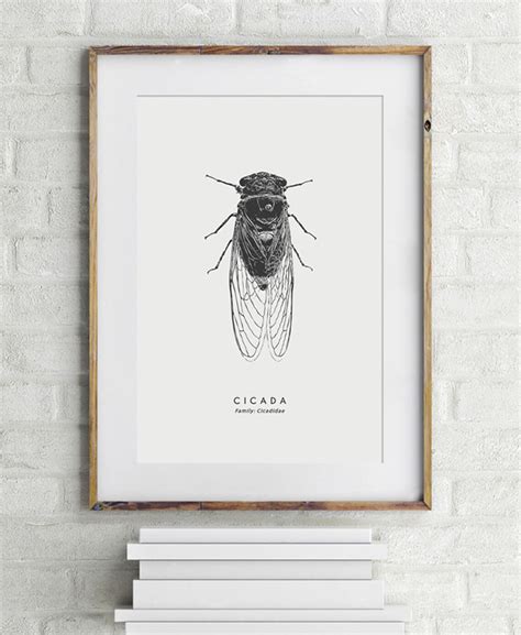 Cicada Insect Art PRINTABLE FILE Modern Vintage Cicada Etsy
