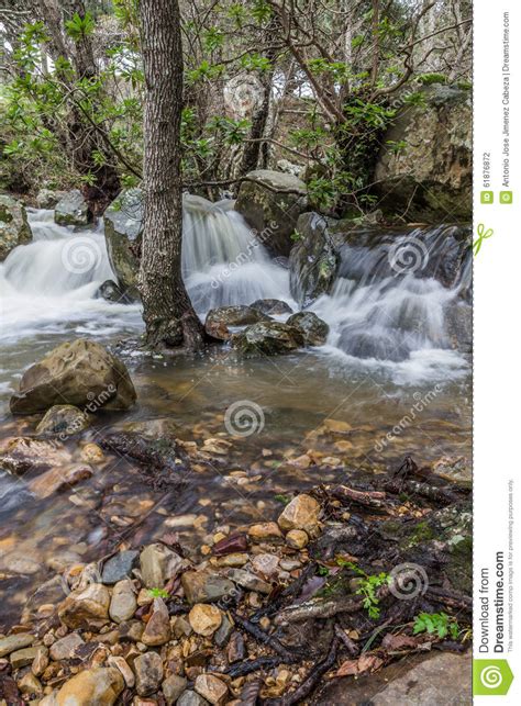 Forest At Autumn With Creek Little Cascades Stock Photo Image Of