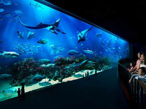 Sentosa Island Afternoon Tour With Sea Aquarium And Fort Siloso Skywalk