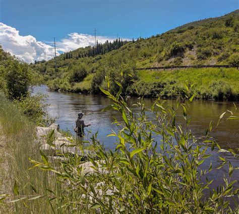 21 Unforgettable Steamboat Springs Summer Activities 2022 By A Local