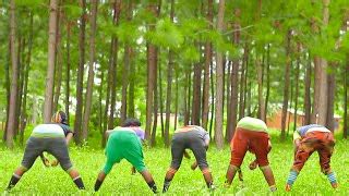 Nyanda mdondo ft nyanda samola tabu 2021{dir jamestown}. Nyanda Manyilezu Ft - Mawaya Ft Nyanda Manyilezu Song Lami ...