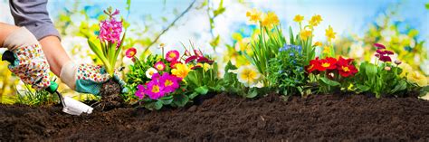 In fact, it's pretty easy to do. 5 Tips and Ideas for Summer Garden Care