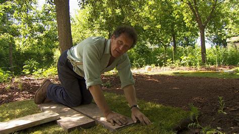Bbc Two Gardeners World 2015 Episode 15 How To Lay Turf How To