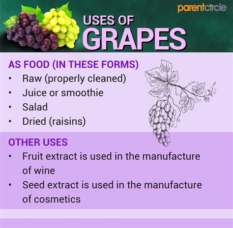 Health Benefits Of Eating Grapes Parentcircle