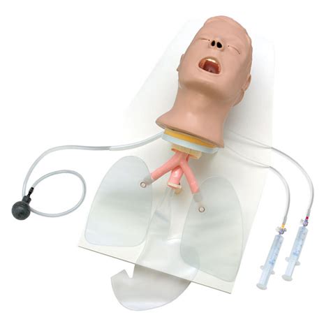 Advanced Airway Larry Trainer Head With Stand For Basic Cpr And