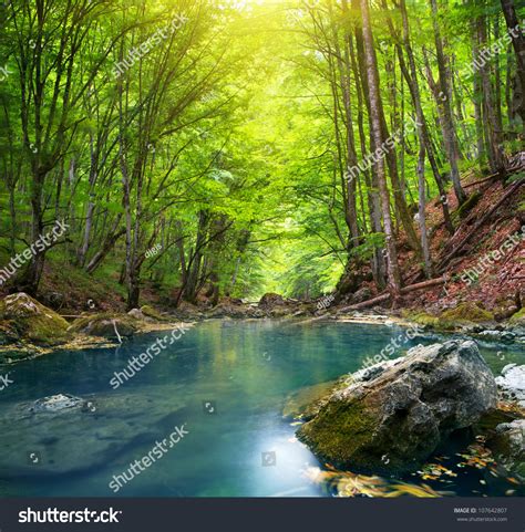 River Deep In Mountain Forest Nature Composition Stock Photo